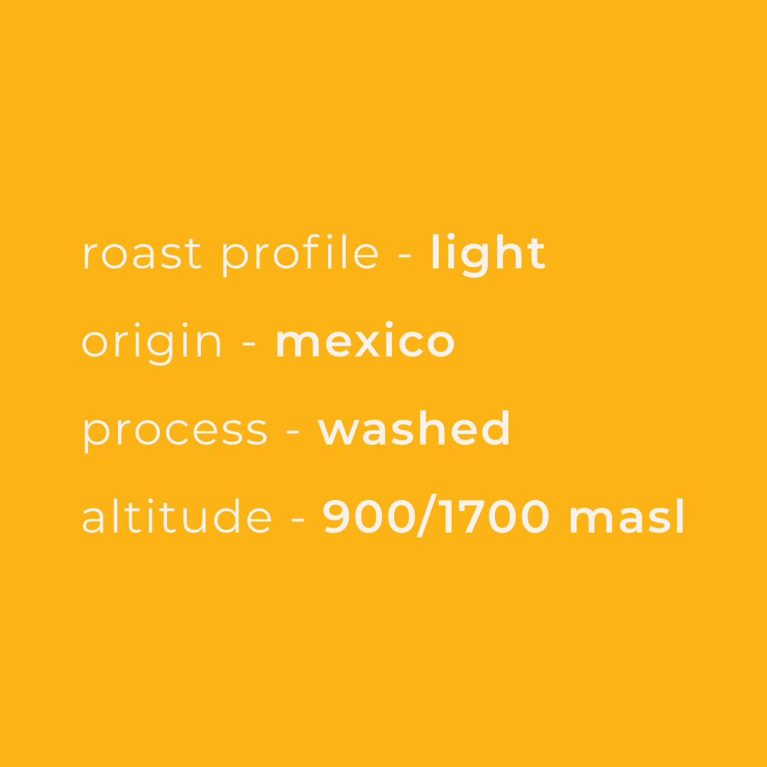 Coffee profile, origin, altitude and process information for the Golden Hour Roast by ADVNTR Coffee Co.